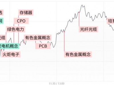 配資返點：【每日收評】創(chuàng)業(yè)板指震蕩走高漲超2.5%，CPO、光纖等AI硬件股卷土重來